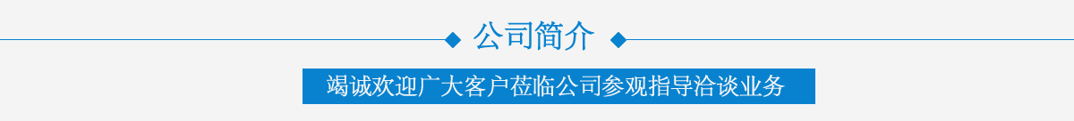關于上海自動化儀表有限公司
